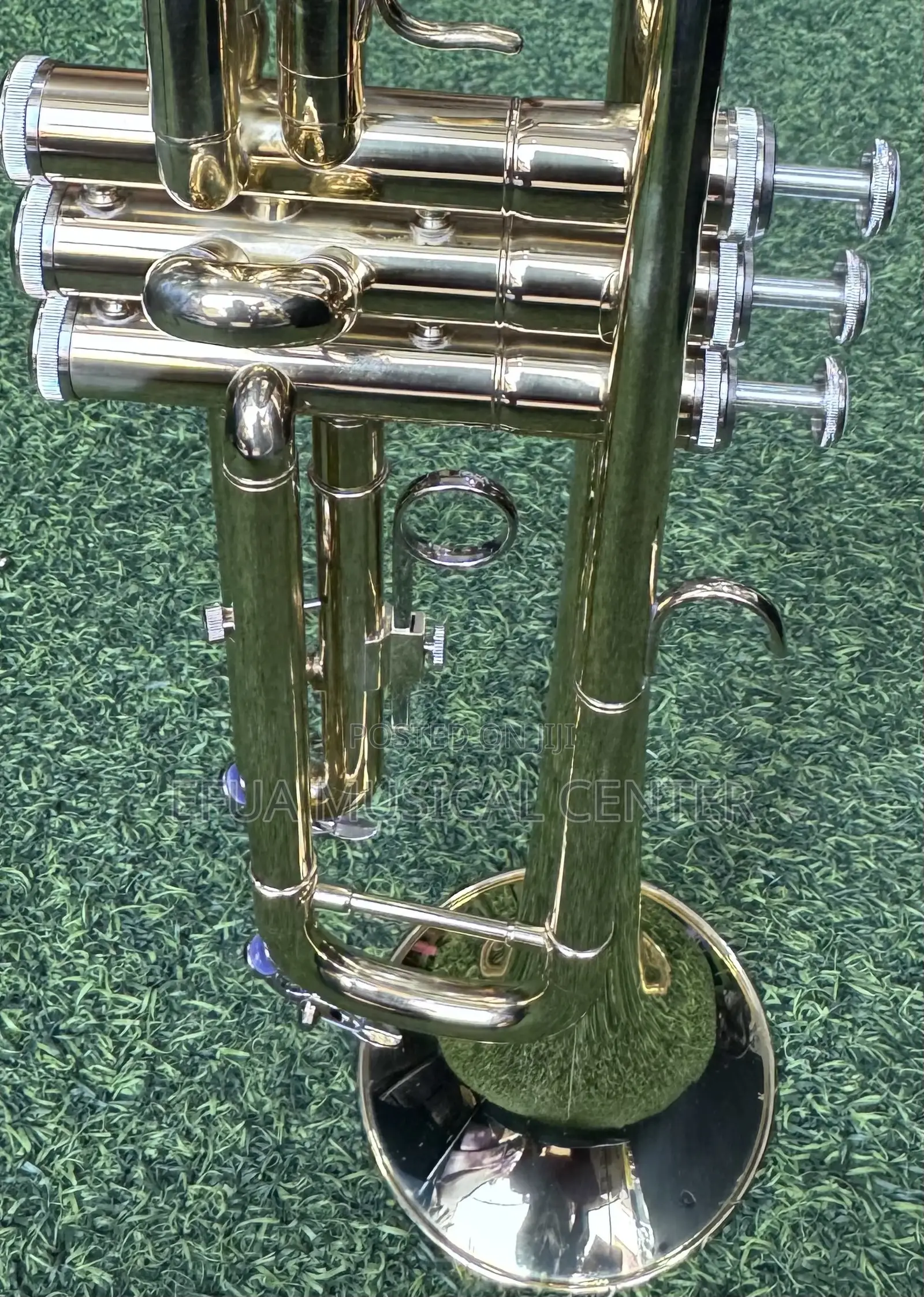 Saxophone/Alto-Suck