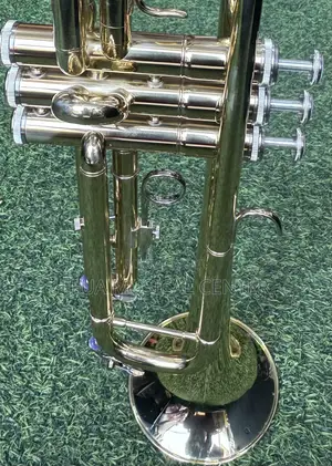 Saxophone/Alto-Suck