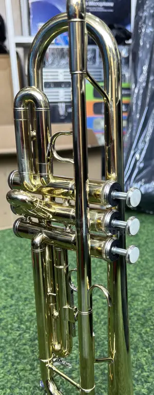 Saxophone/Alto-Suck