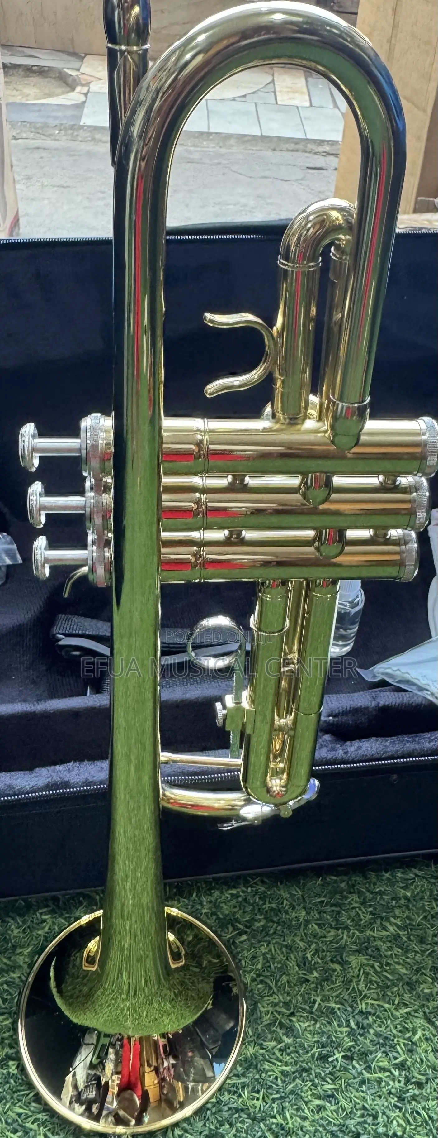 Saxophone/Alto-Suck