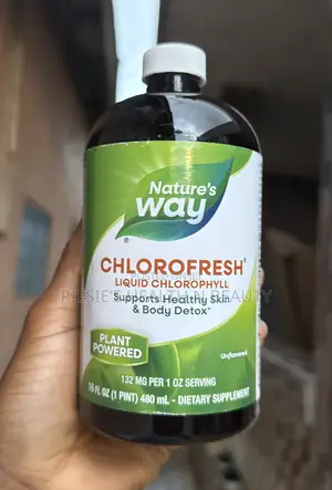 Nature's Way Chlorofresh, Liquid Chlorophyll, Mint, 16 Fl Oz (480 Ml)