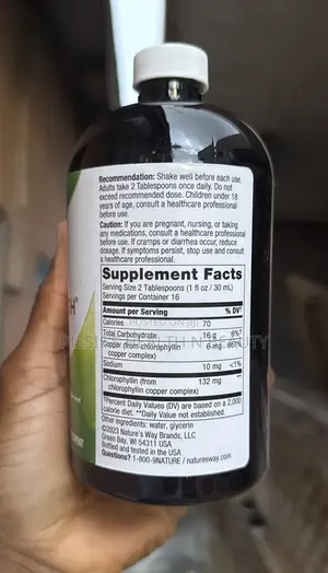 Nature's Way Chlorofresh, Liquid Chlorophyll, Mint, 16 Fl Oz (480 Ml)