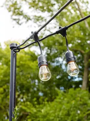 String Lights With Bulb ( 20 Bulbs)
