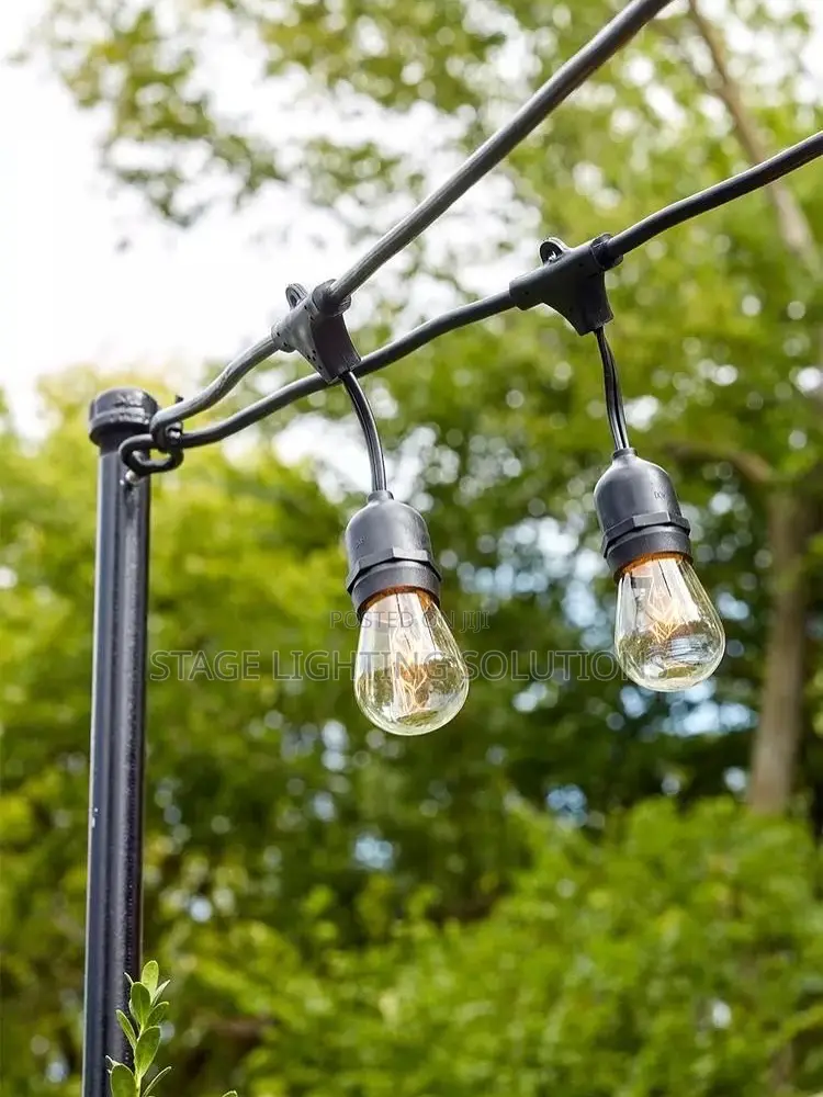 String Lights With Bulb ( 20 Bulbs)