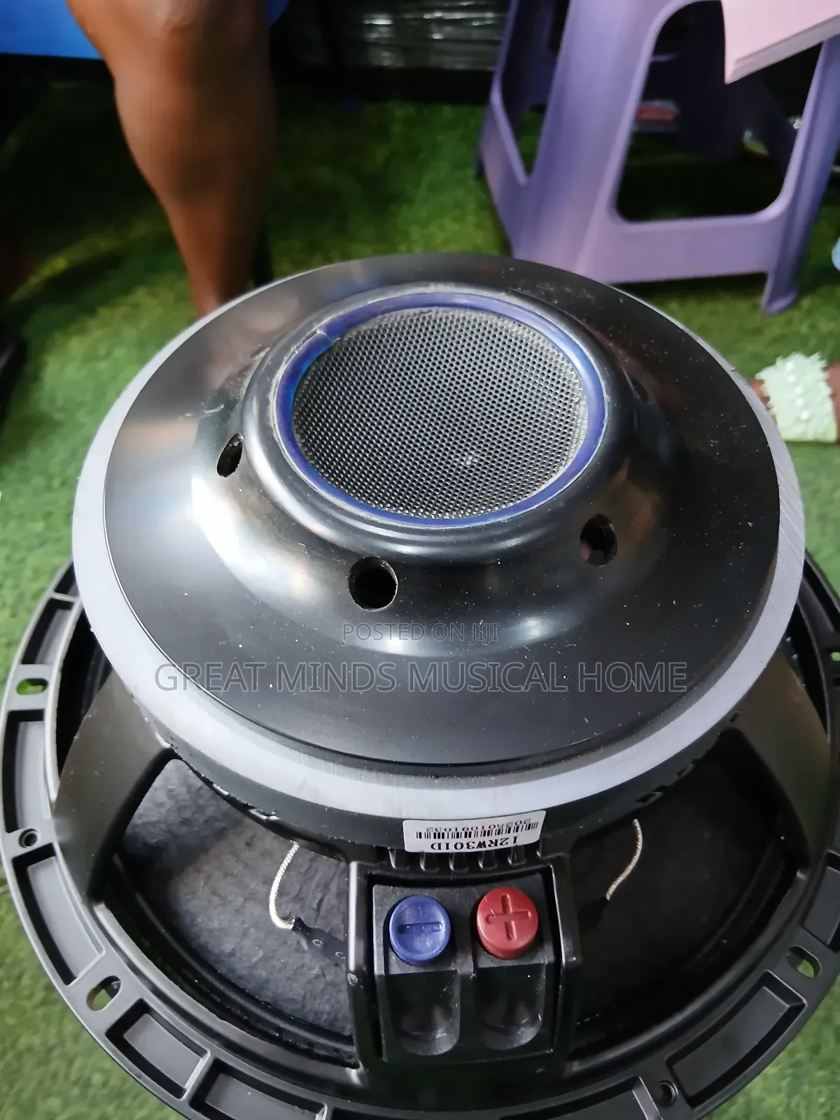 A Pair of RCF 12 Inches Naked Speakers