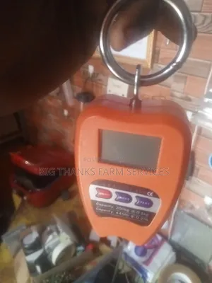 200kg Scale