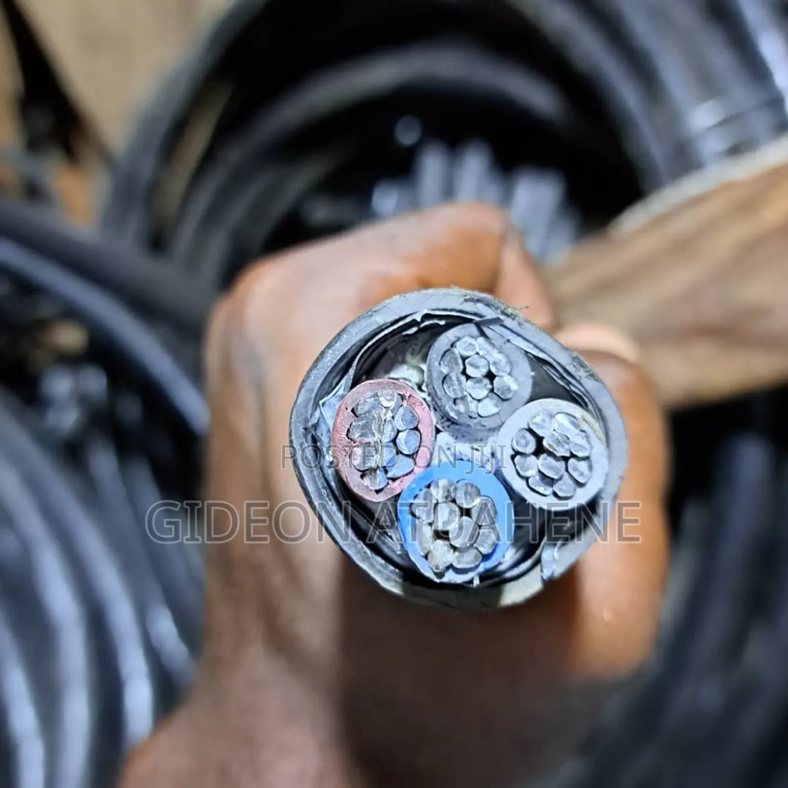 Armored Cables