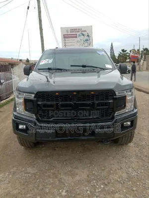 Ford F-150 2019 Gray