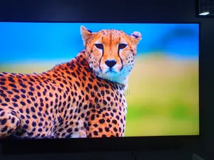 Home Used 75" Sony Andriod Resolution Smart Tv for Sale