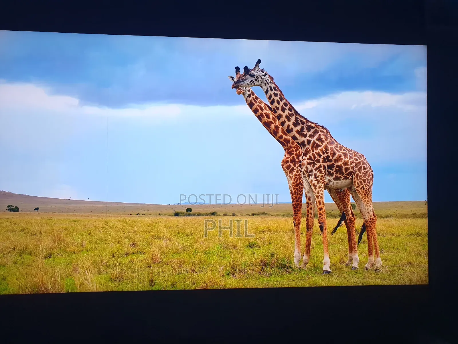 Home Used 75" Sony Andriod Resolution Smart Tv for Sale