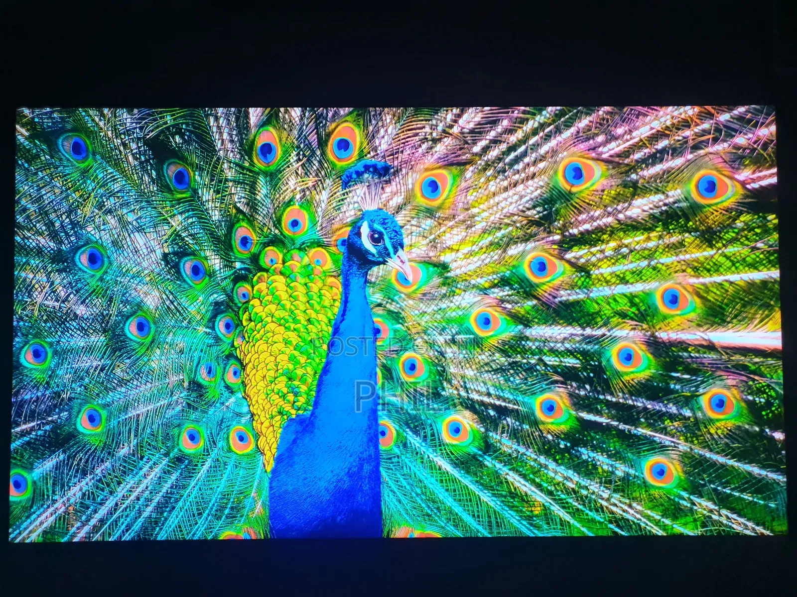 Home Used 75" Sony Andriod Resolution Smart Tv for Sale