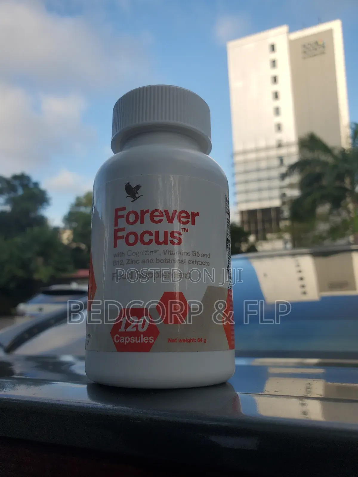 F54 Forever Focus