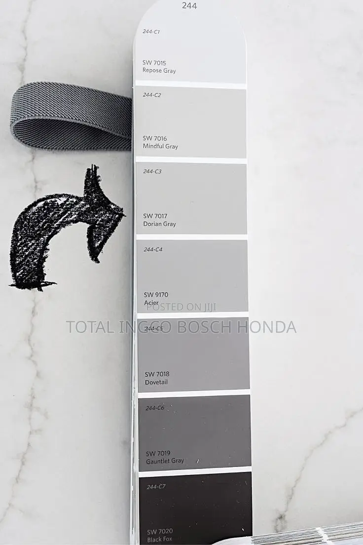 Sherwin Williams Fast Drying Acrylic Paint ( Canadian Base)