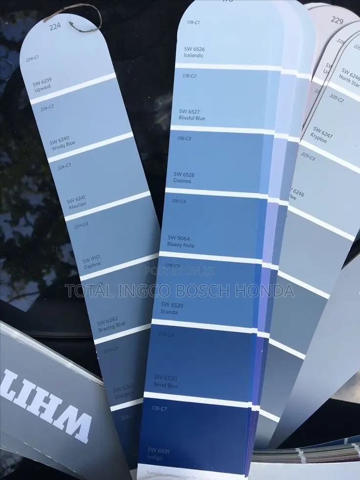 Canadian Washable Paint(Sherwin Williams Brand)