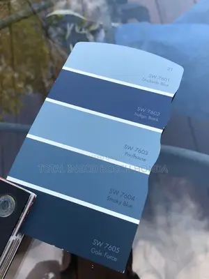 Sherwin Williams *Exterior and *Interior *Acrylic High Gloss Paint