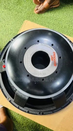 V-C 18 Inches Naked Speaker