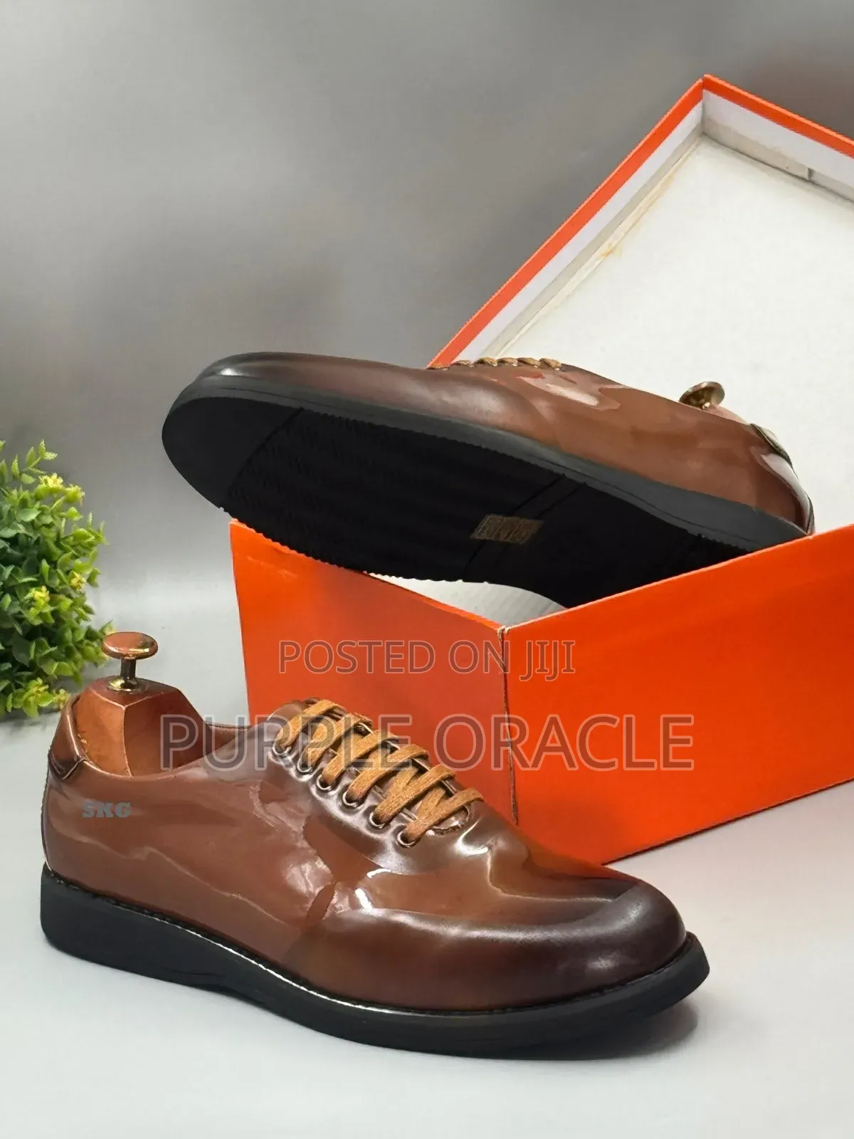 SKG Brown Leather Dress Shoes in a Box