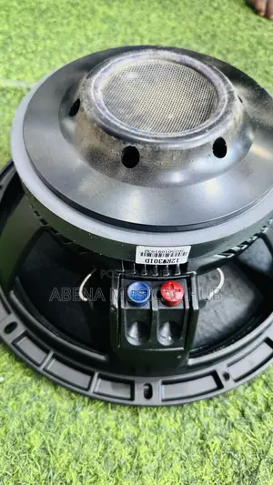 RCF 12 Inches Naked Speaker Single Magnet