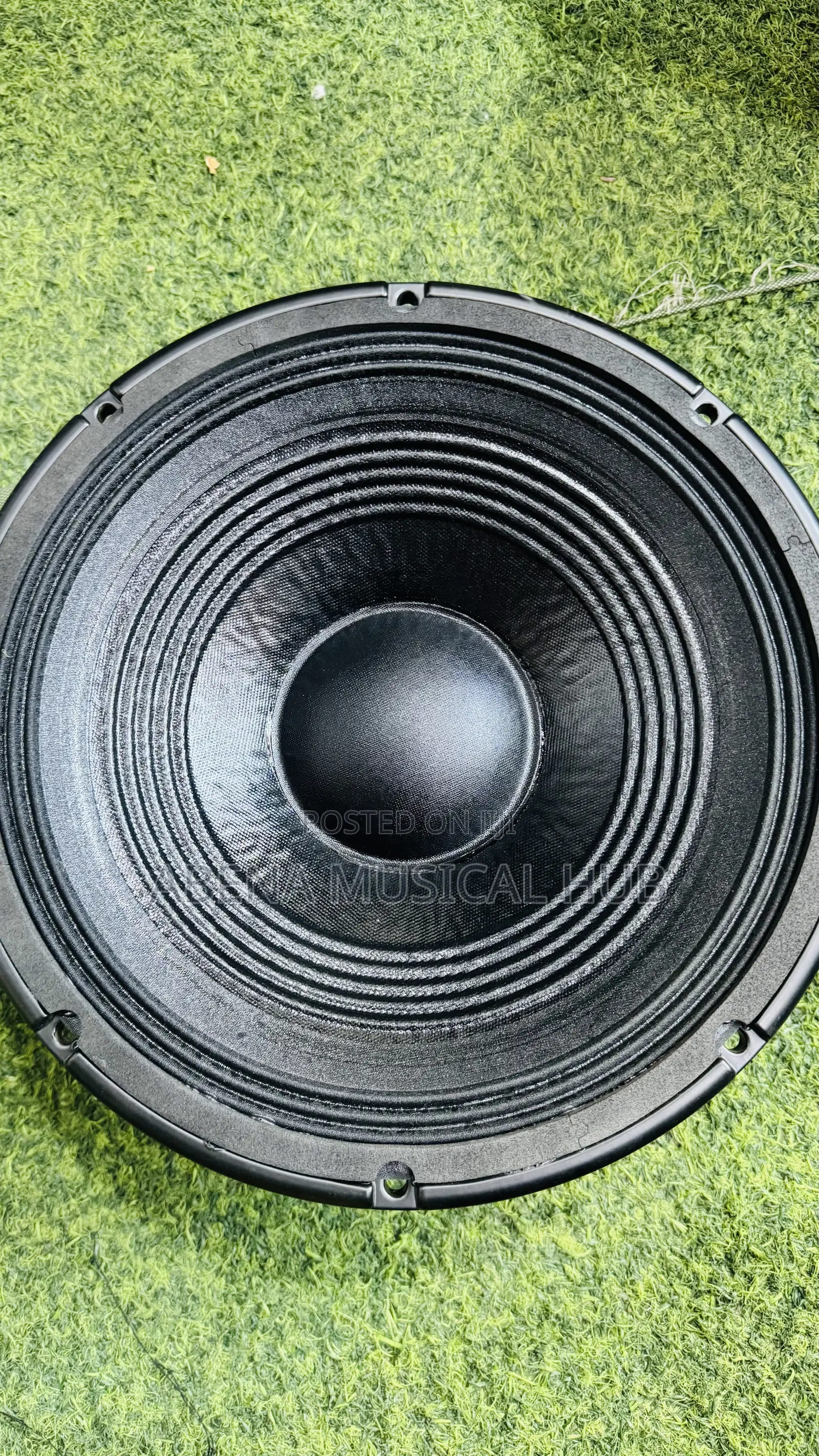 RCF 12 Inches Naked Speaker Single Magnet