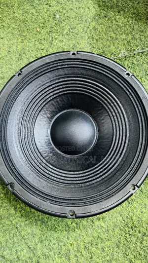RCF 12 Inches Naked Speaker Single Magnet