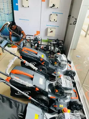 Petrol Leo Lawn Mower 5.5hp (5.5hp)