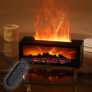 Fire Place Humidifier