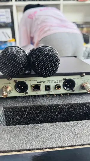 Shure SLX-D 2 in 1 Microphone