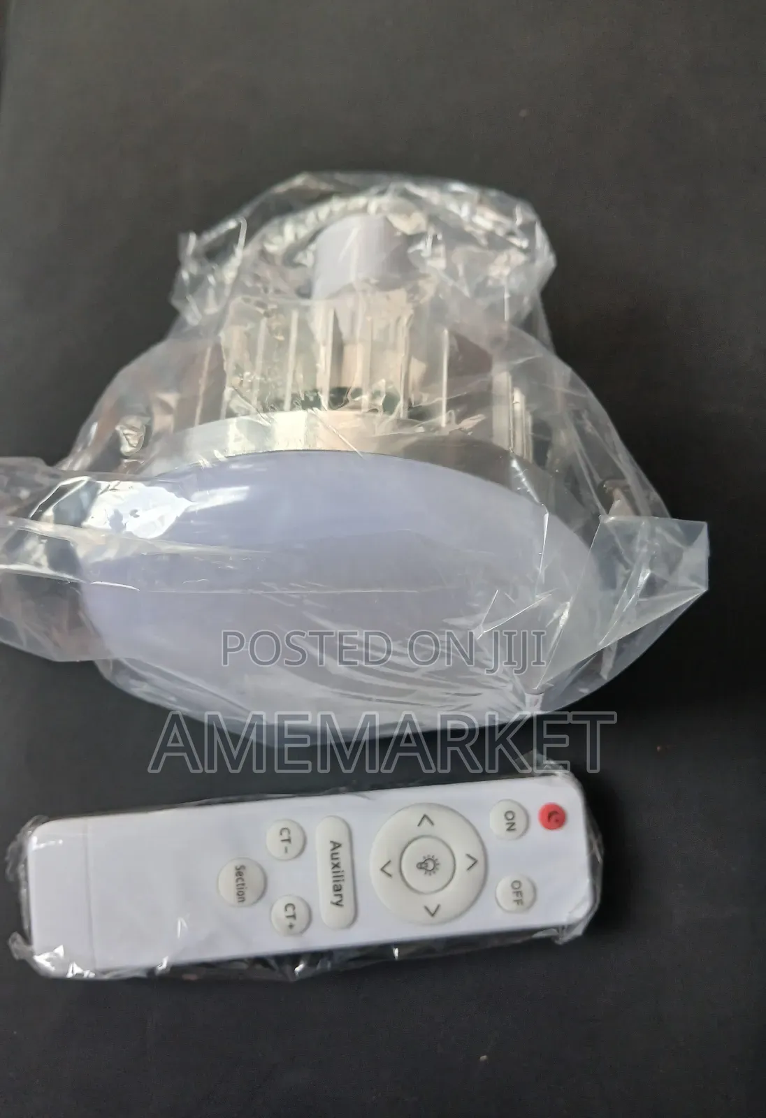 E27 Led Light With Remote Control Mushroom Bulb For Photography Studio