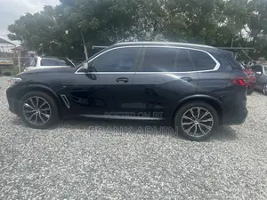 BMW X5 2021 Gray