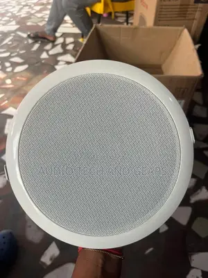 Ceiling Speaker