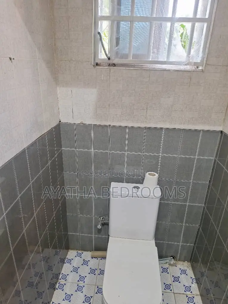 1bdrm Apartment in Modern, New Town for rent