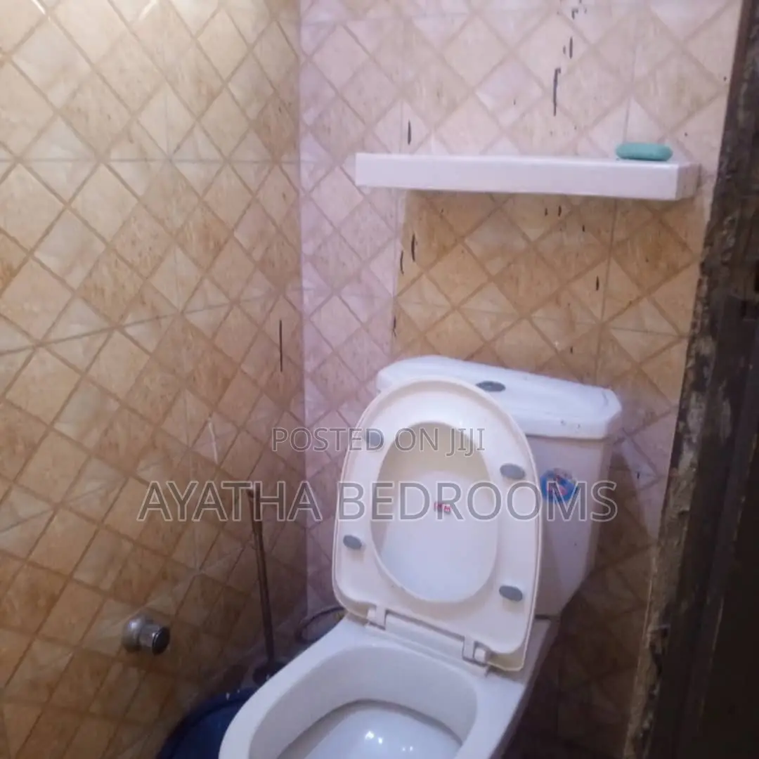 1bdrm Apartment in Modern Properties, New Town for rent