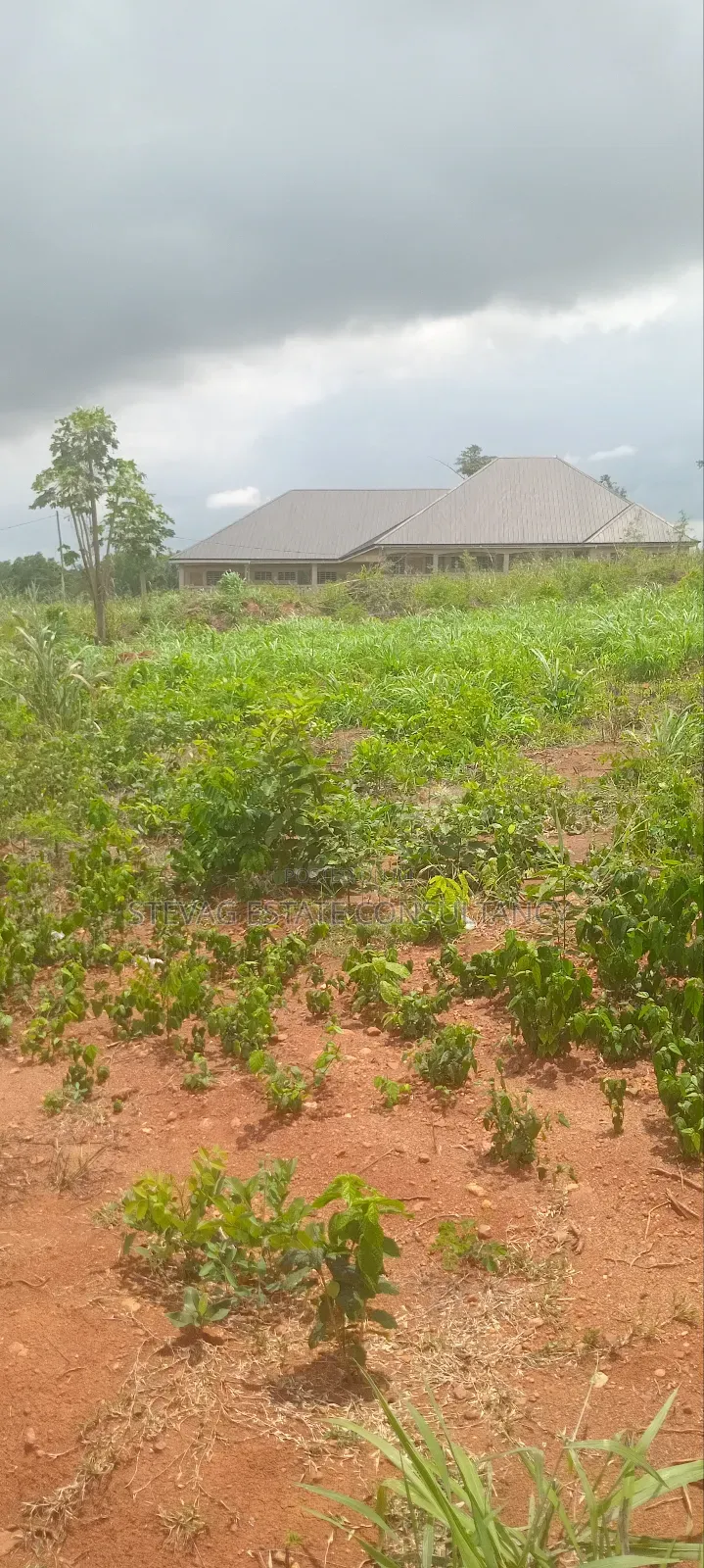 Alpha Real Estate Company LTD Land for Sale at Kasoa Akraman