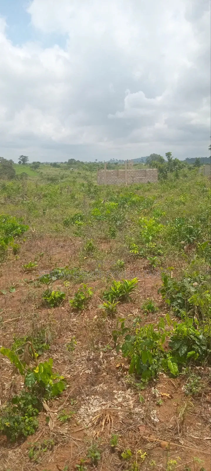 Alpha Real Estate Company LTD Land for Sale at Kasoa Akraman