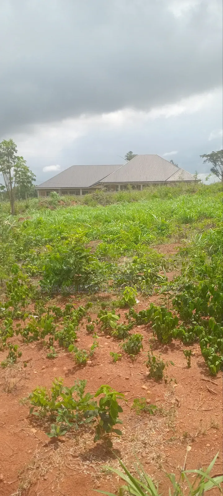 Alpha Real Estate Company LTD Land for Sale at Kasoa Akraman