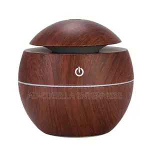 Authentic Usb Humidifier