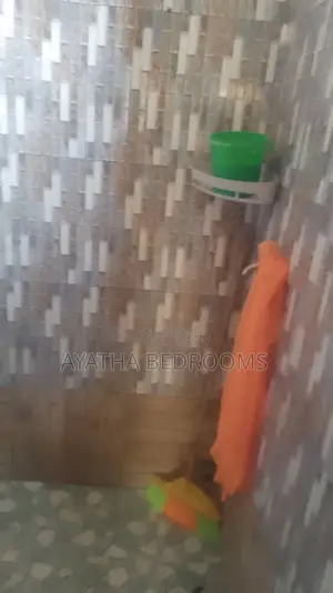 1bdrm Apartment in Modern Properties, New Town for rent