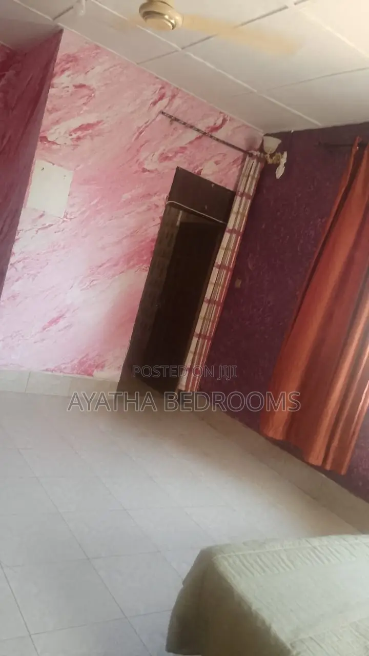 1bdrm Apartment in Modern Properties, New Town for rent