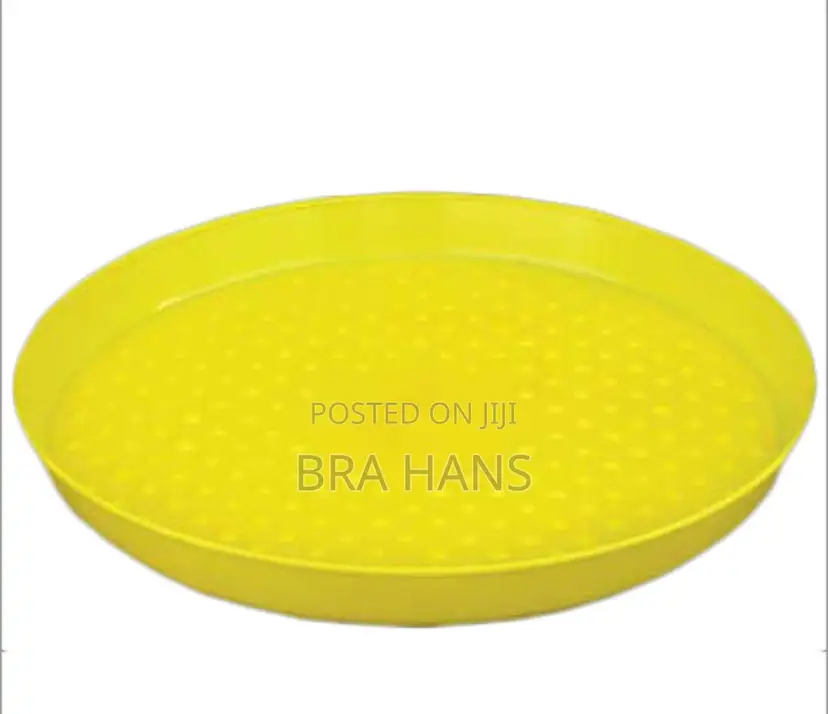 Chicks Feeding Tray(Small Size)