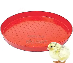 Chicks Feeding Tray(Small Size)