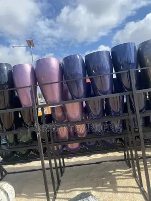 Ceramic and Cement Pots Available