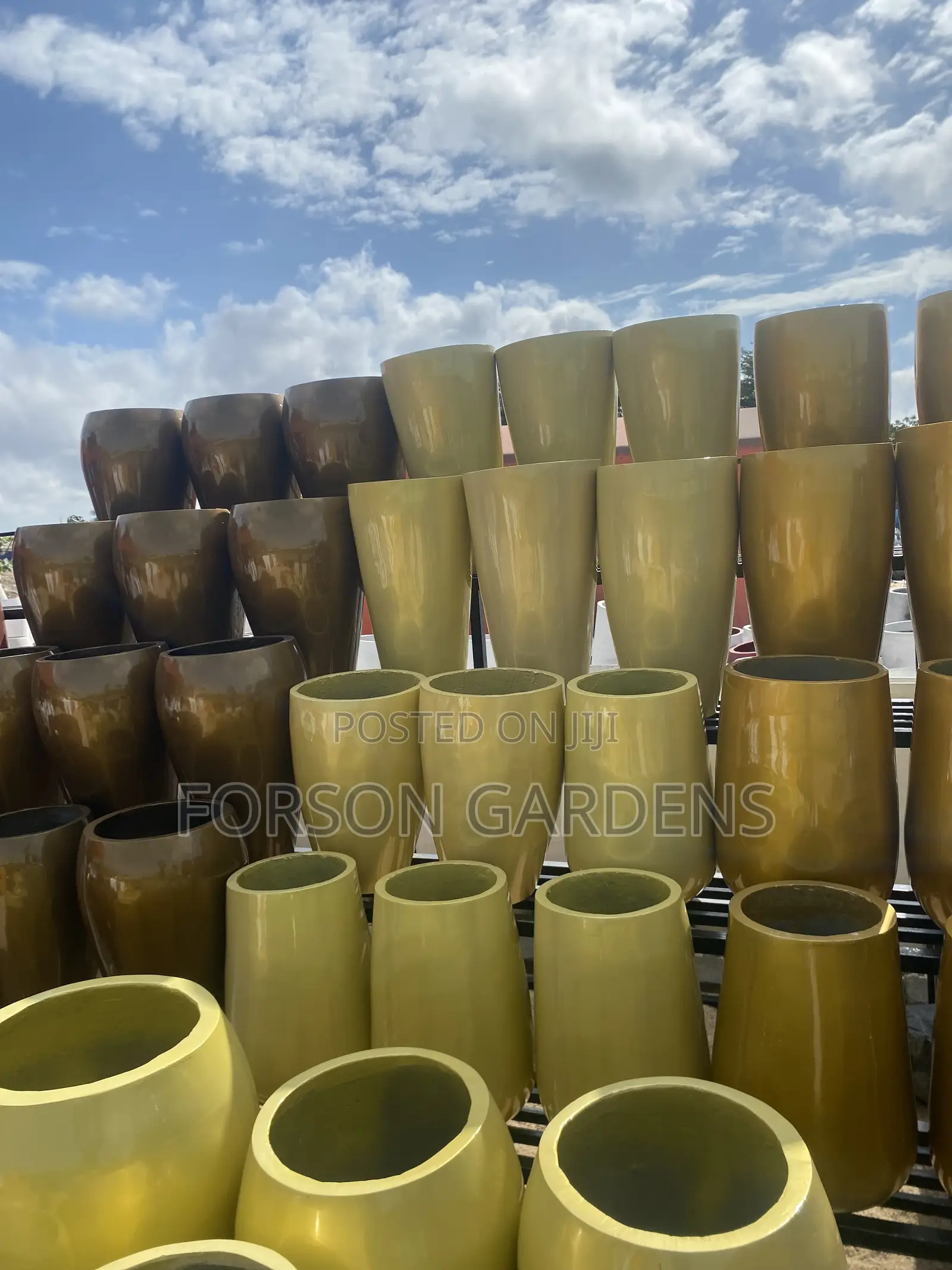 Ceramic and Cement Pots Available