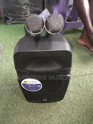 N1 8 Inches Bluetooth Speaker With Two Microphone