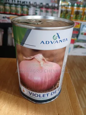 Violet De Galmi (Red Onion Seeds)