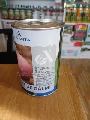 Violet De Galmi (Red Onion Seeds)