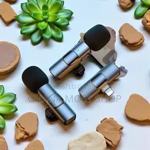 2 in 1 Wireless Microphone (55667)