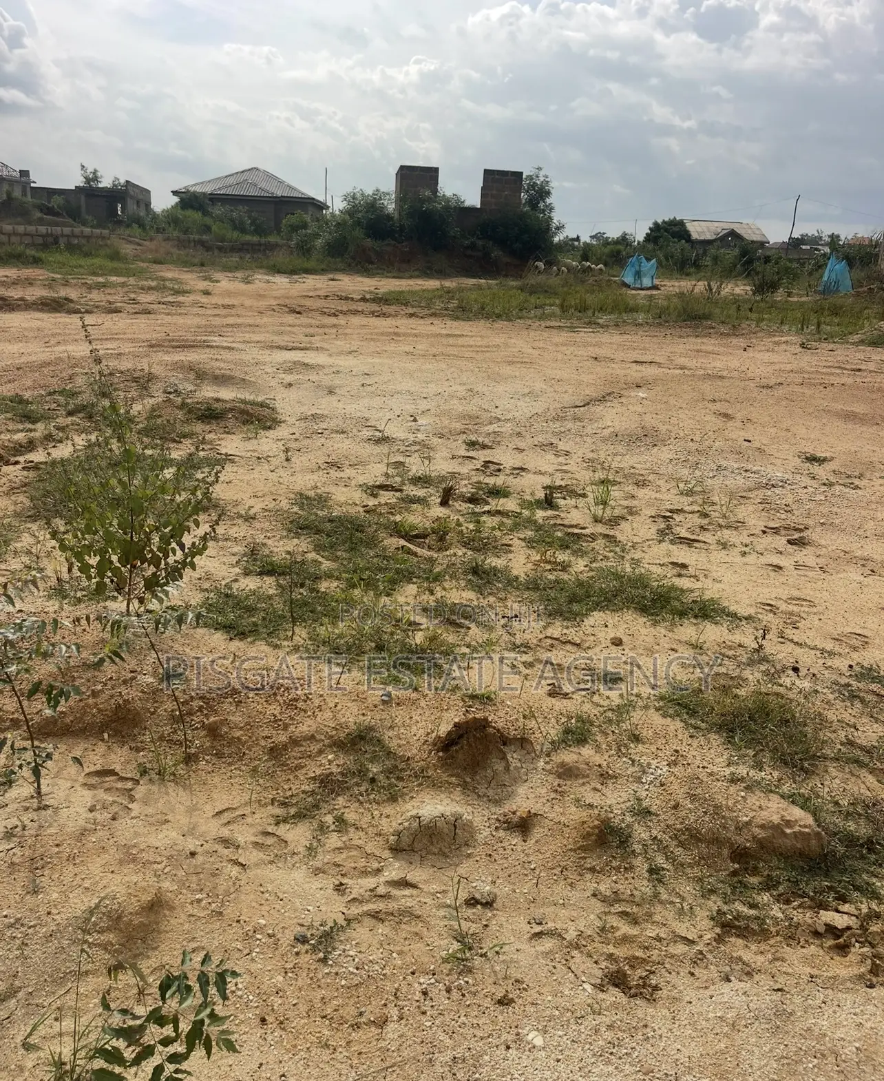 Registered One Plot of Land for Sale.