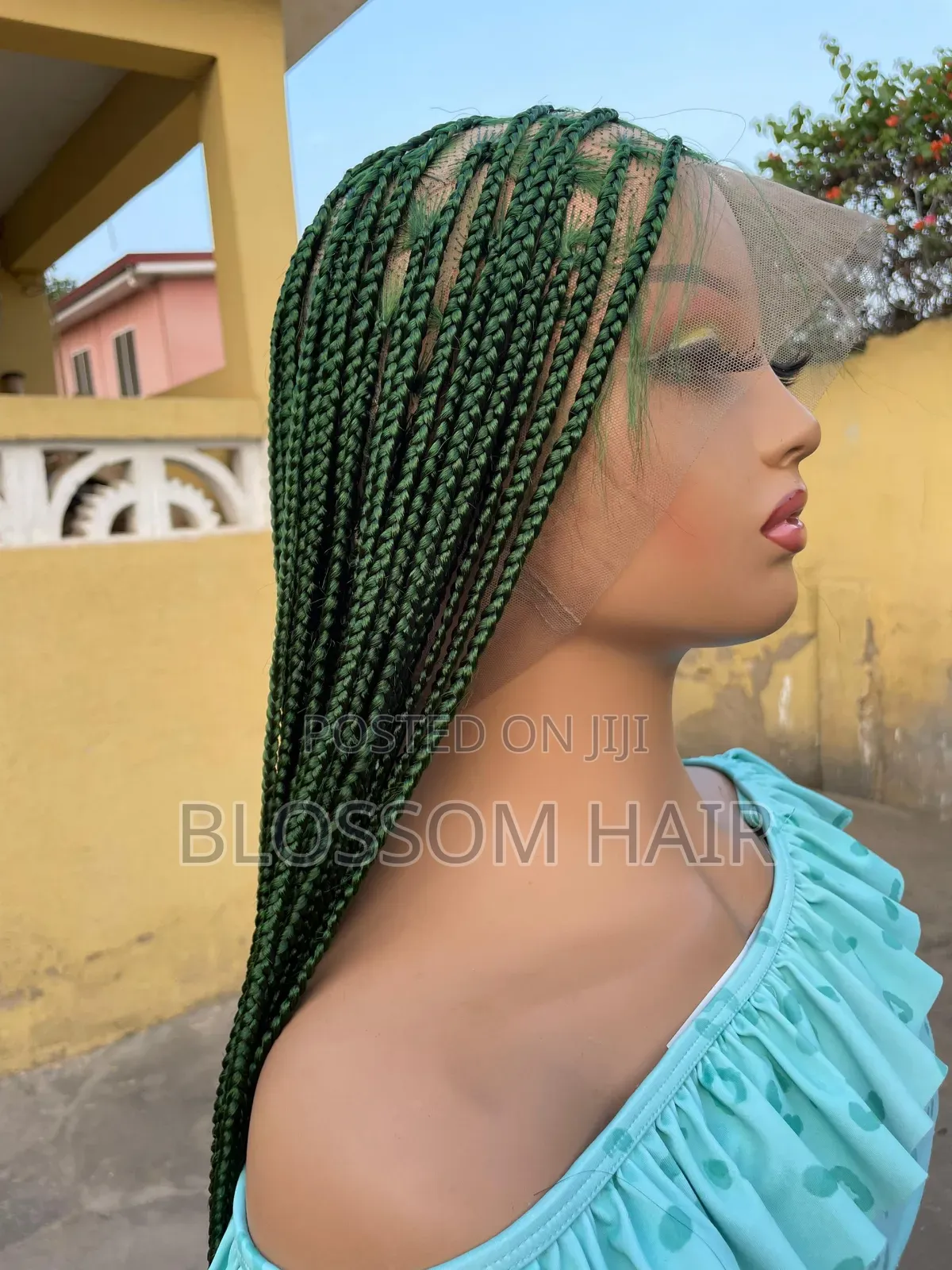 Braided Wigs