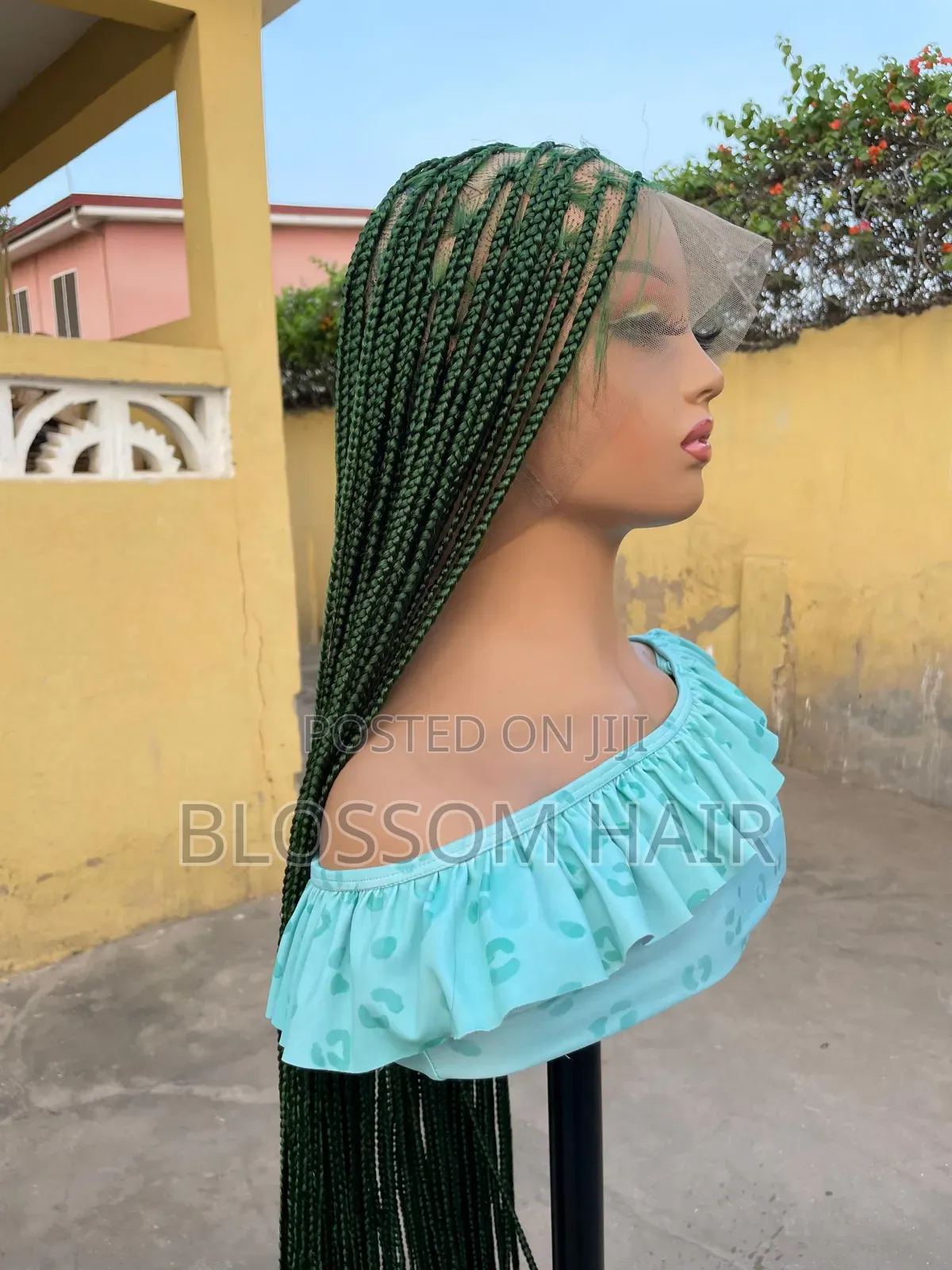 Braided Wigs