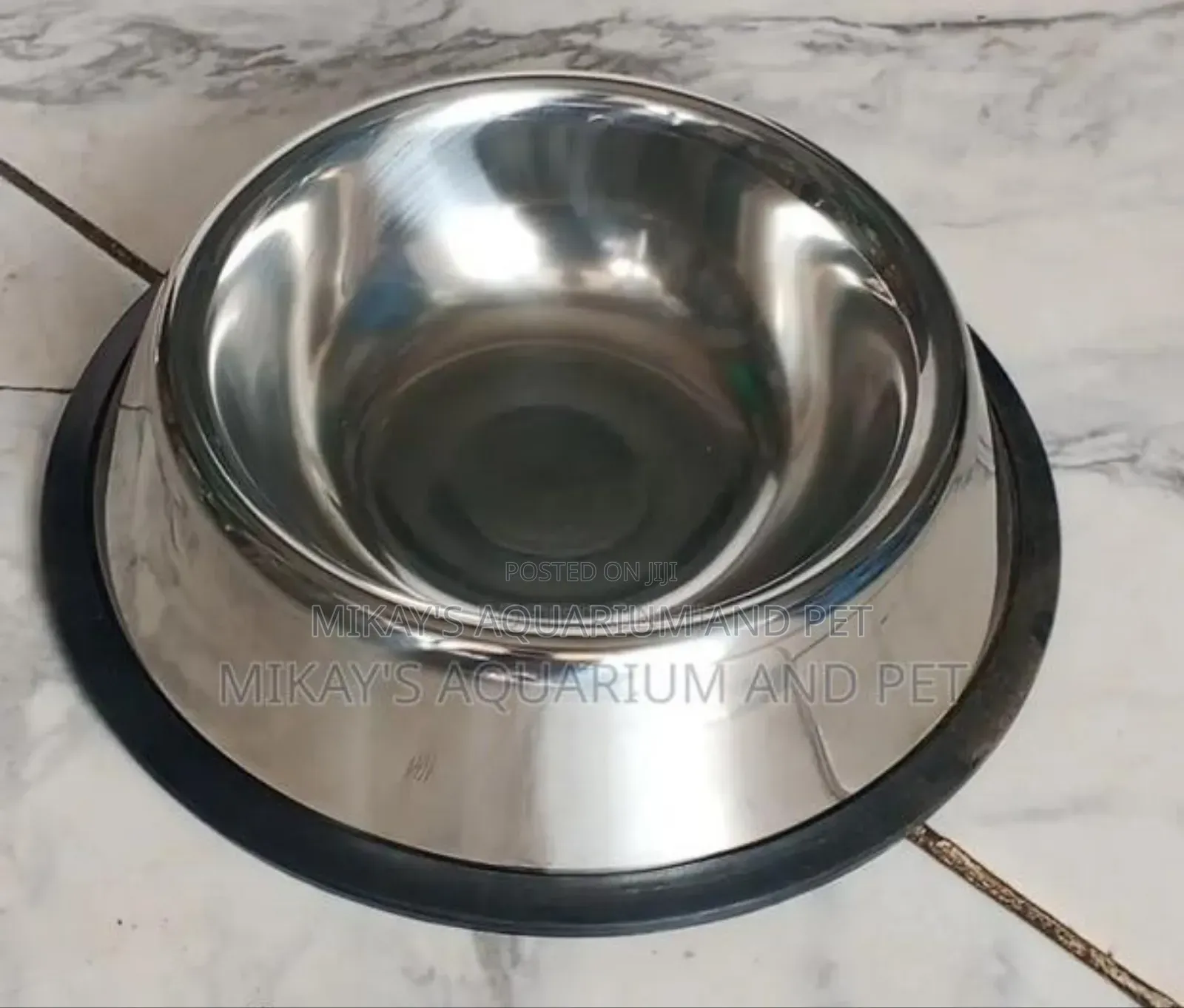 Small Dog Bowl